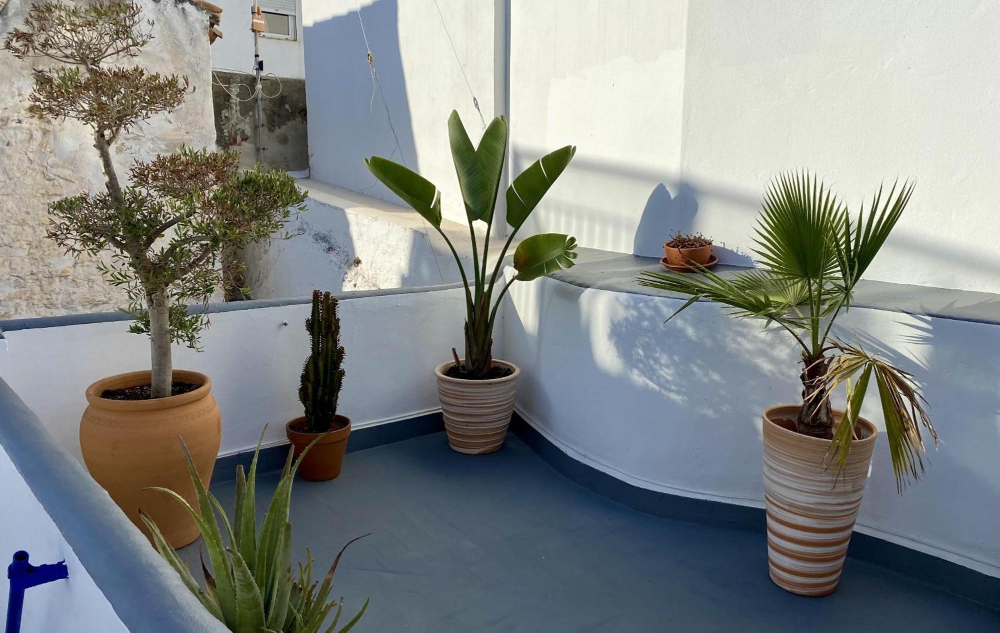 132 La Casa Del Pintor Apartman Tarifa Kültér fotó
